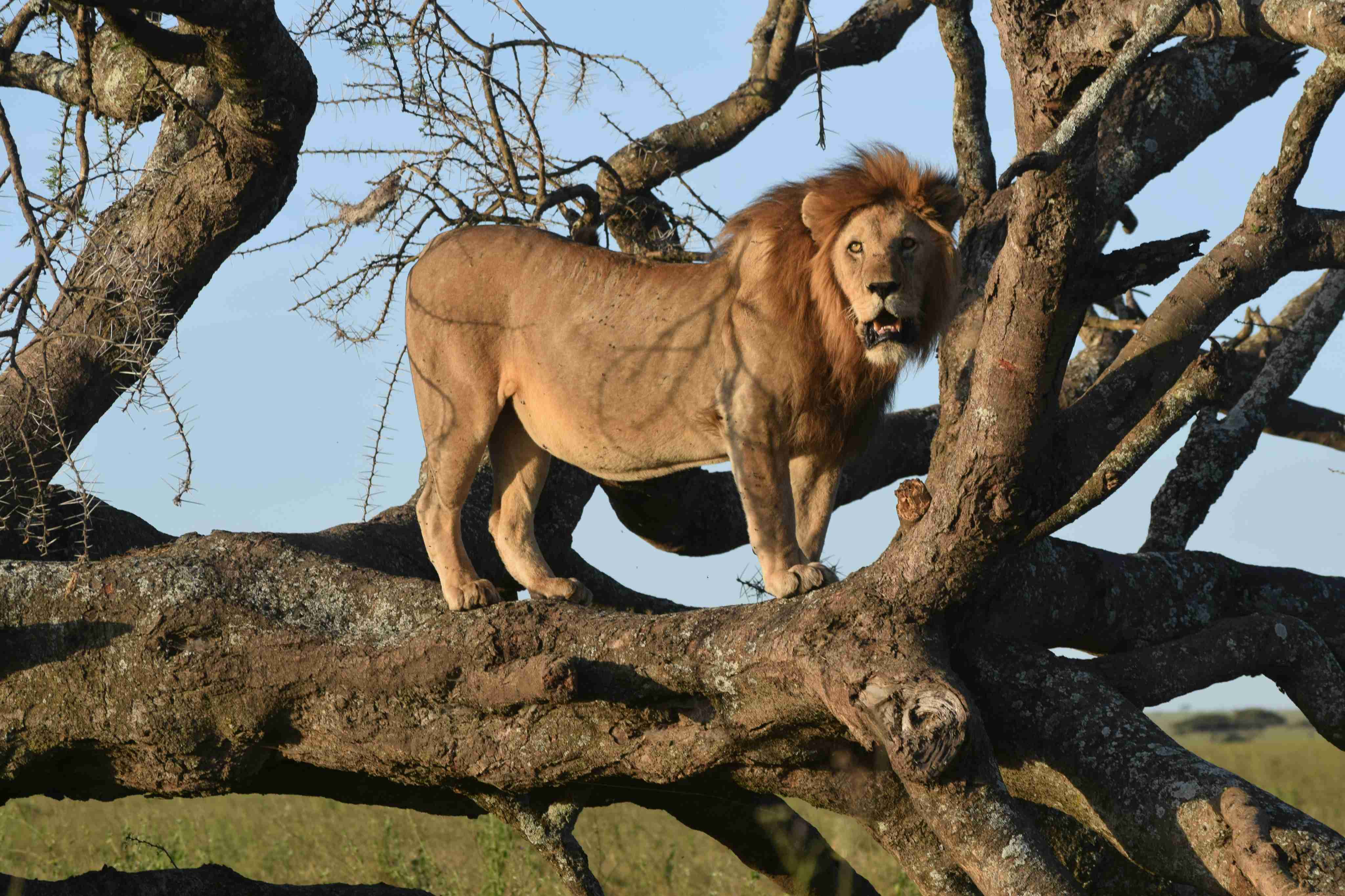 Katavi National Park