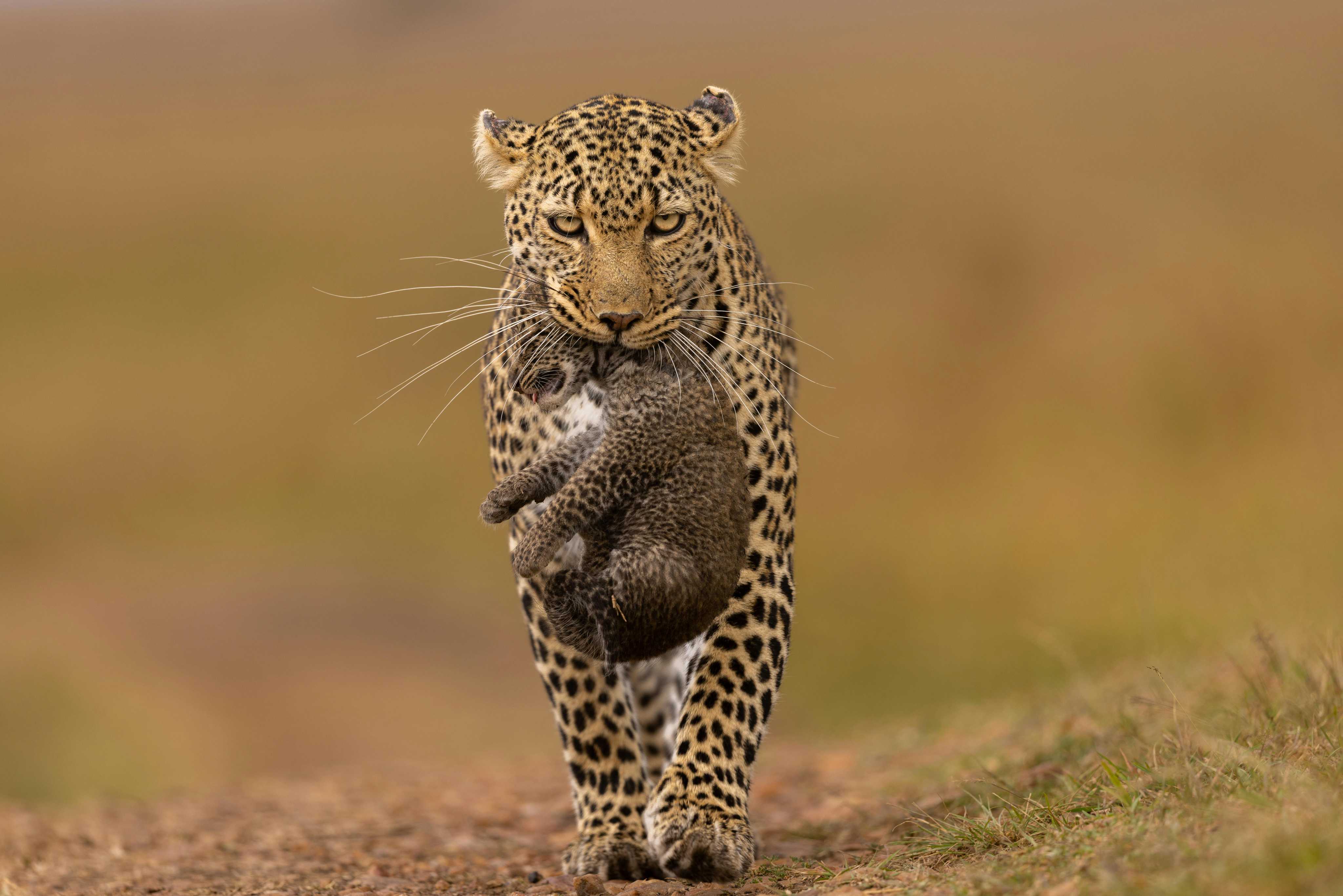 Masai Mara Reserve