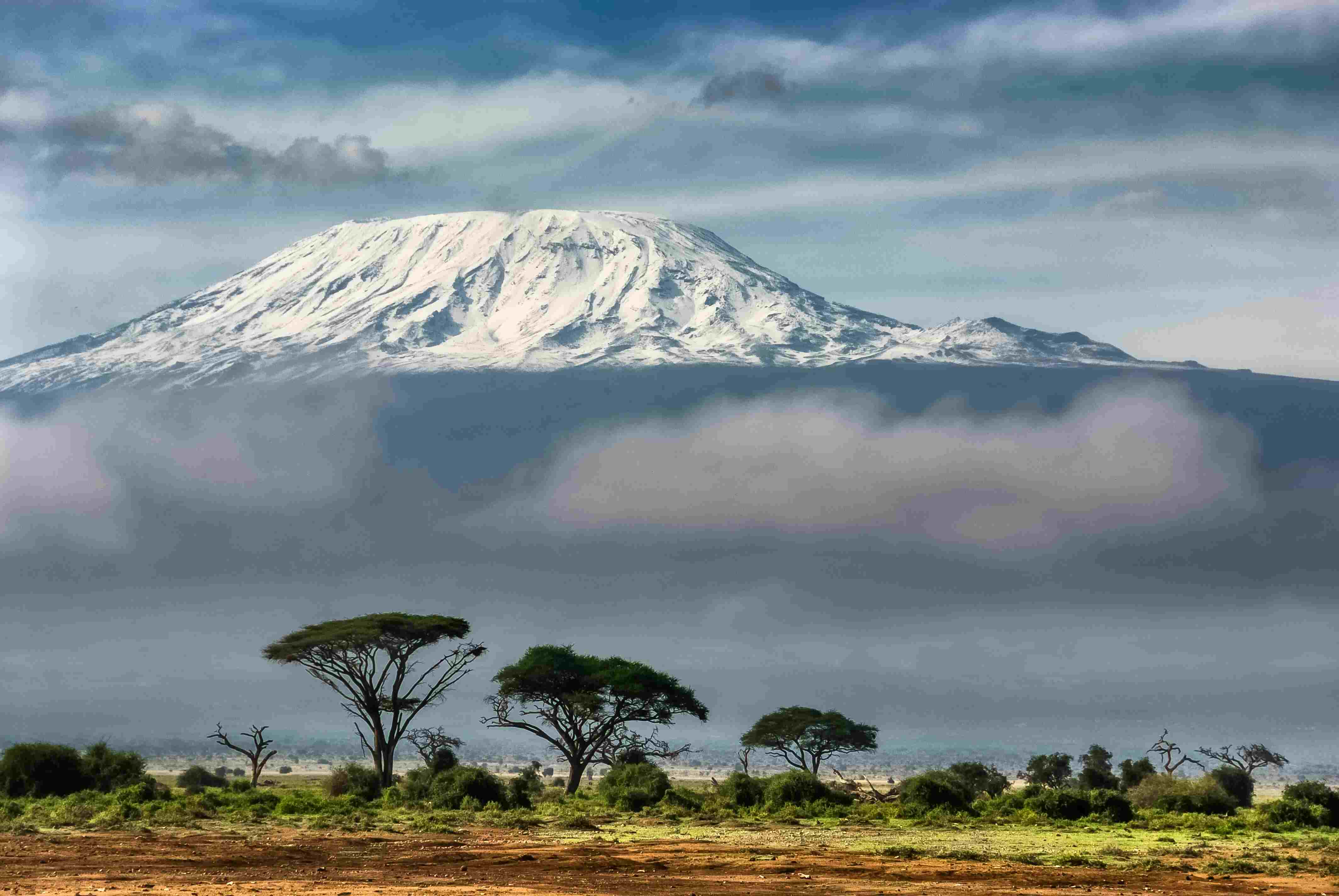 Kilimanjaro Elevation Profile