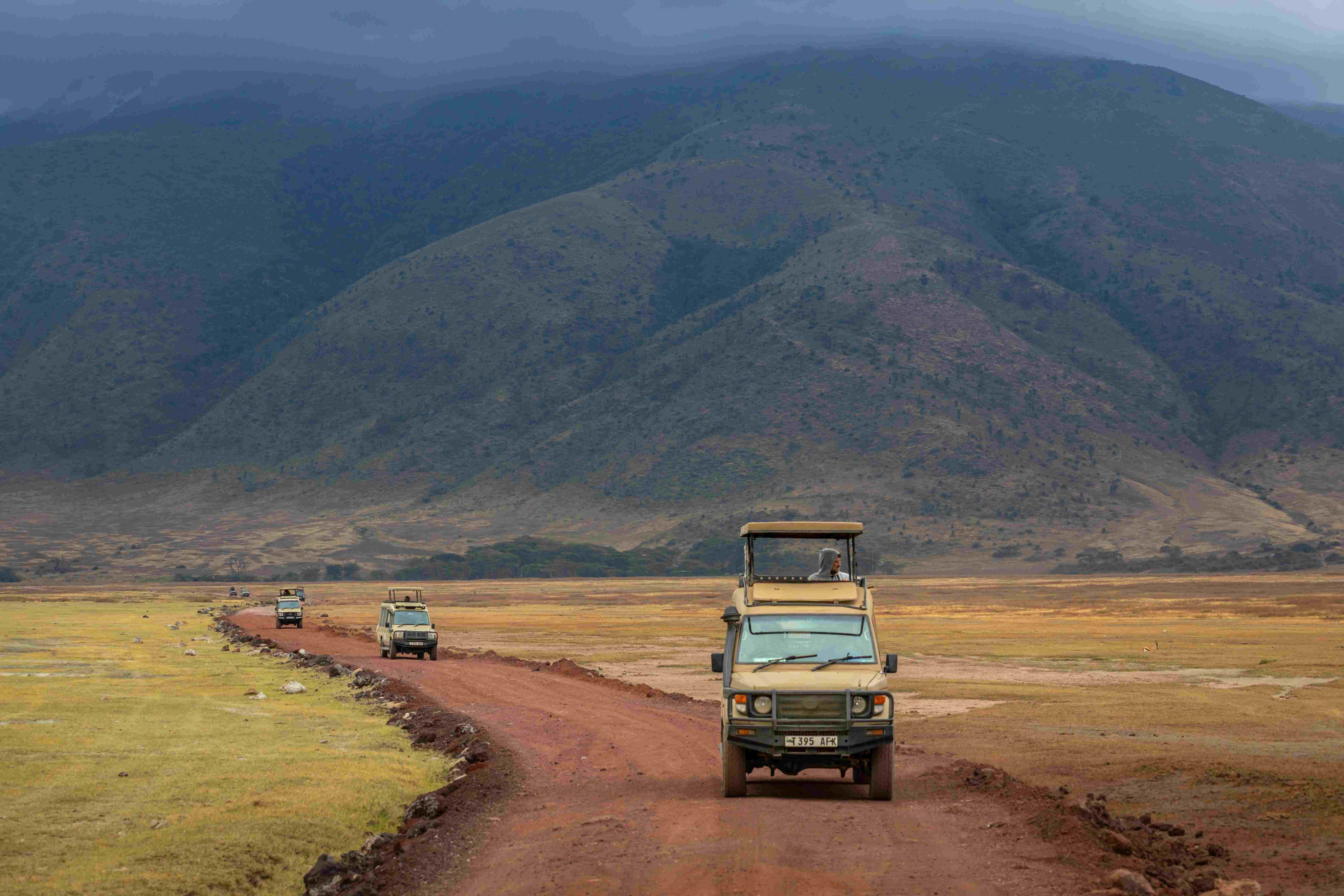 Ngorongoro Timing
